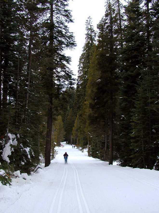 Badger Pass Ski Area