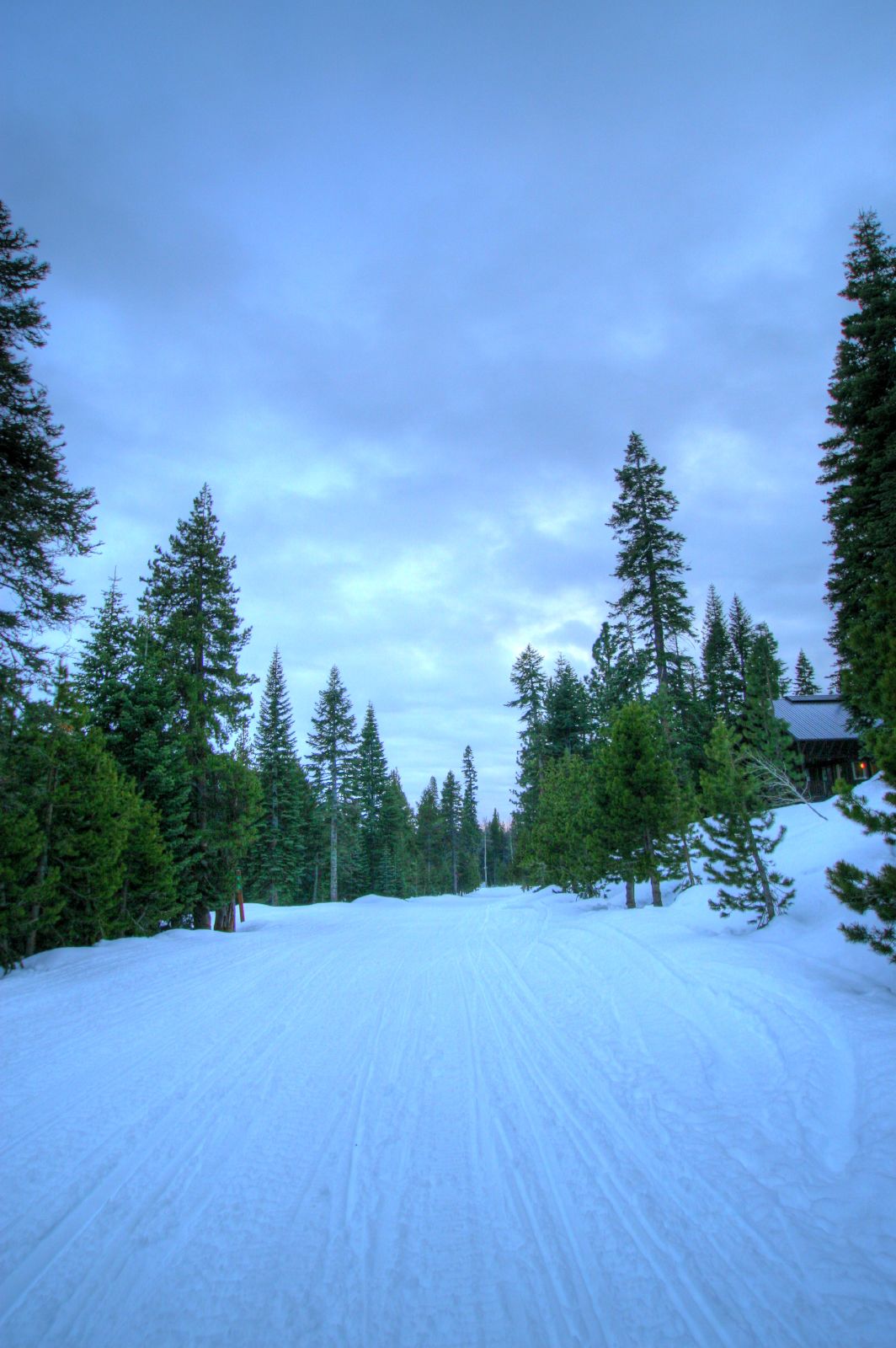 Cali Pass mountain network