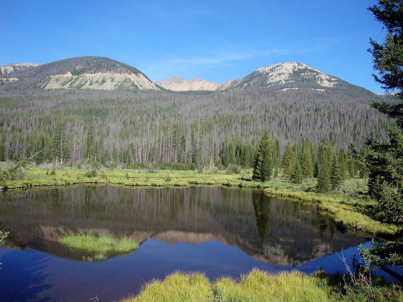 Beaver Mountain