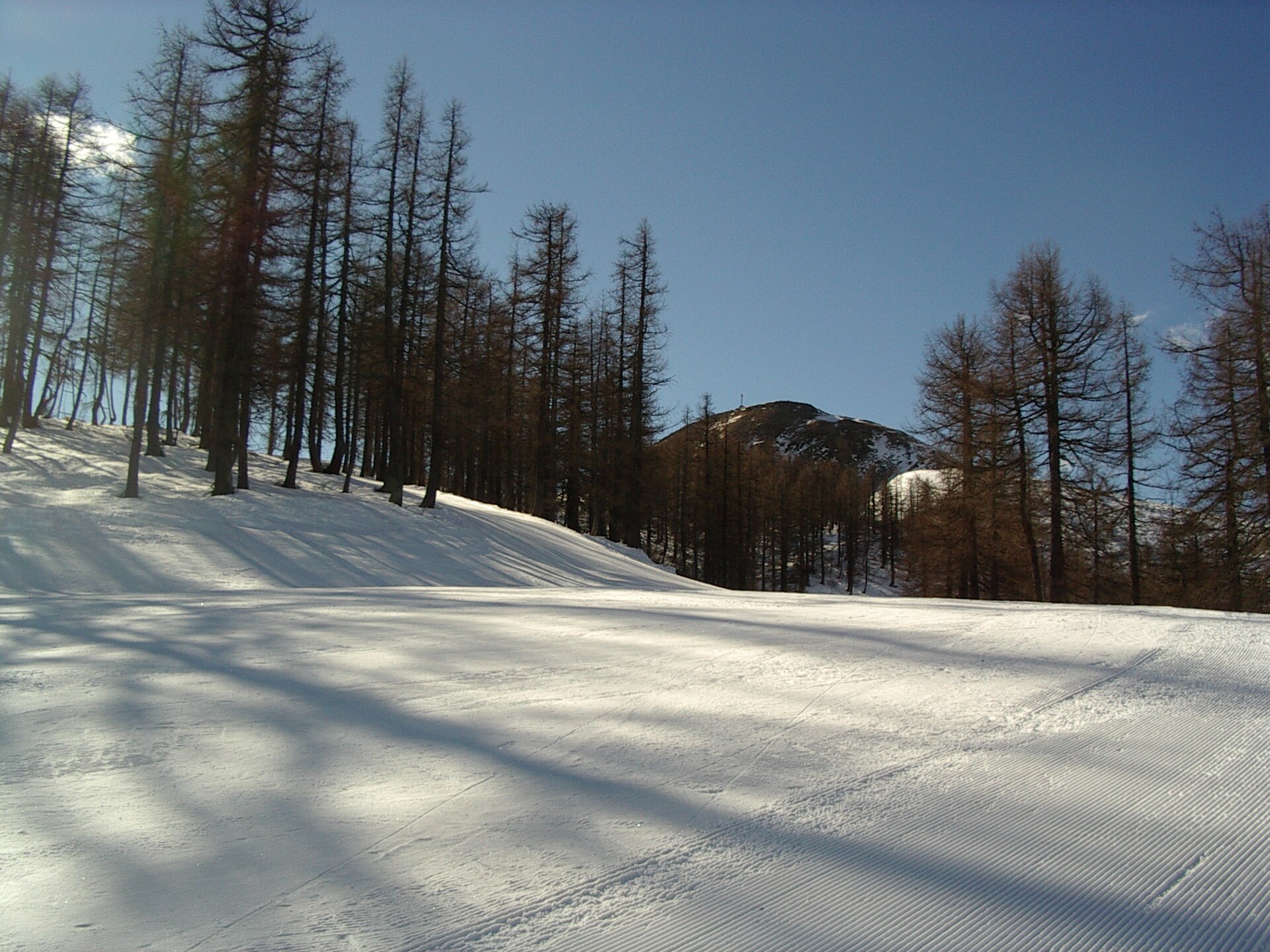 Domobianca Lusentino