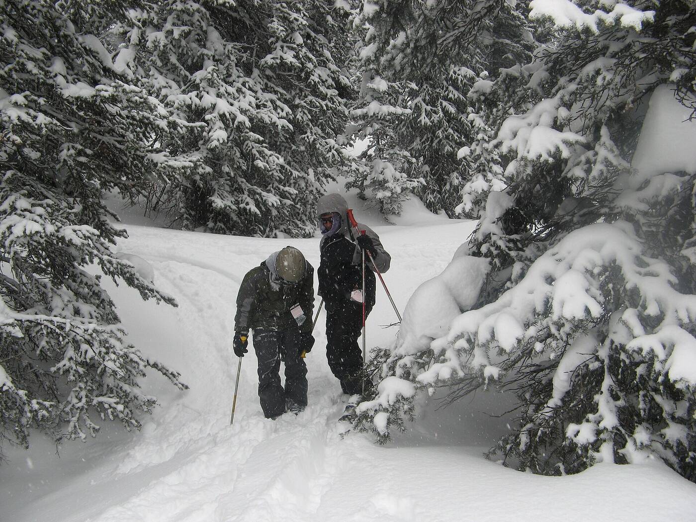 Grand Targhee Resort