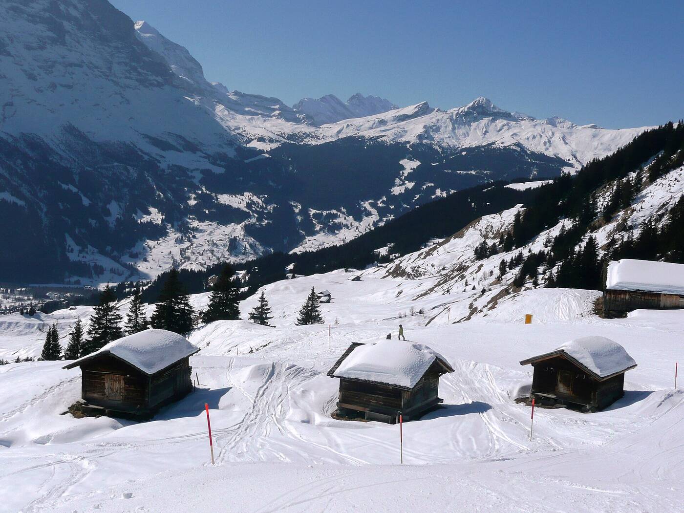 Grindelwald - Männlichen