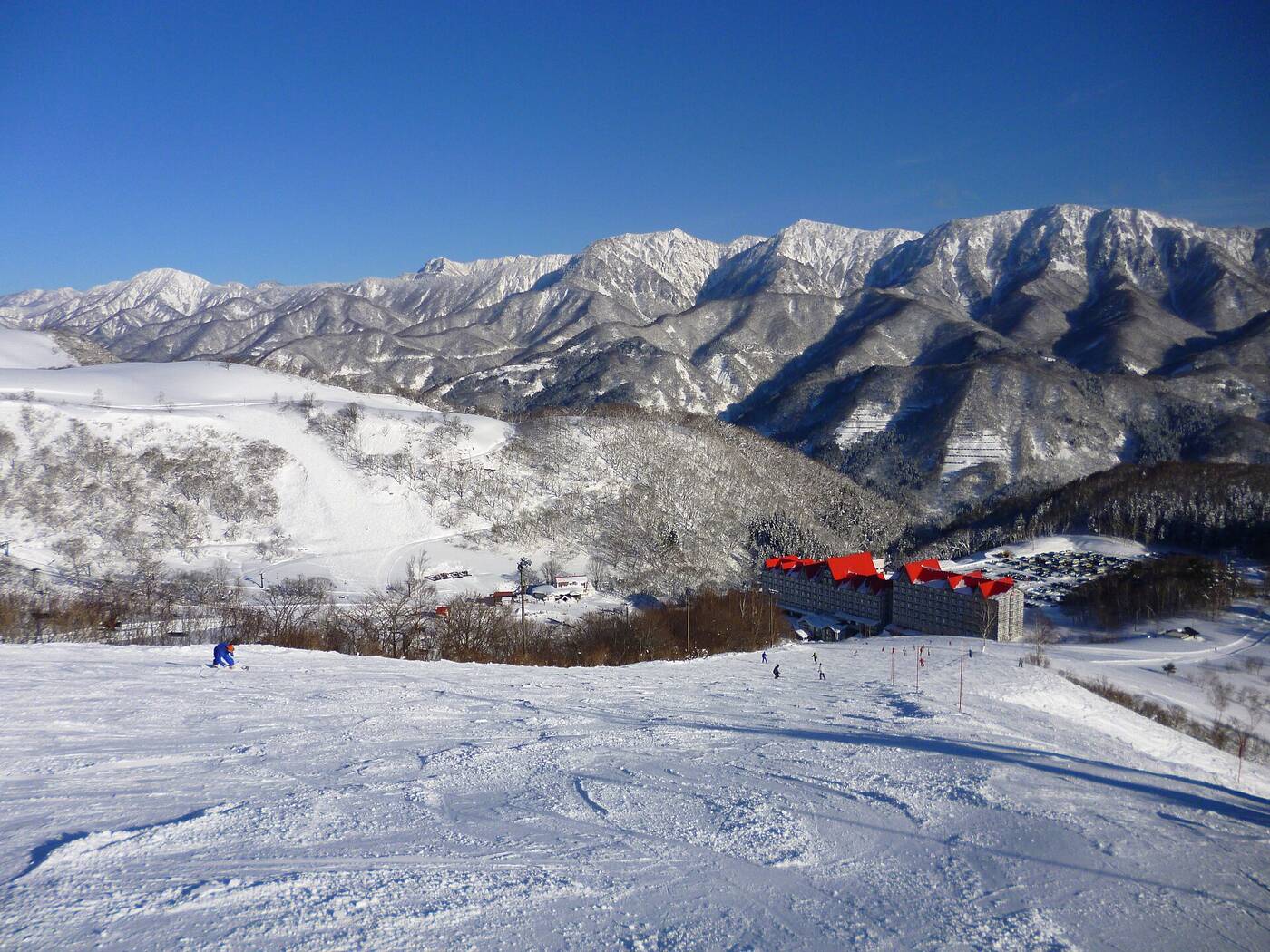 Hakuba Cortina