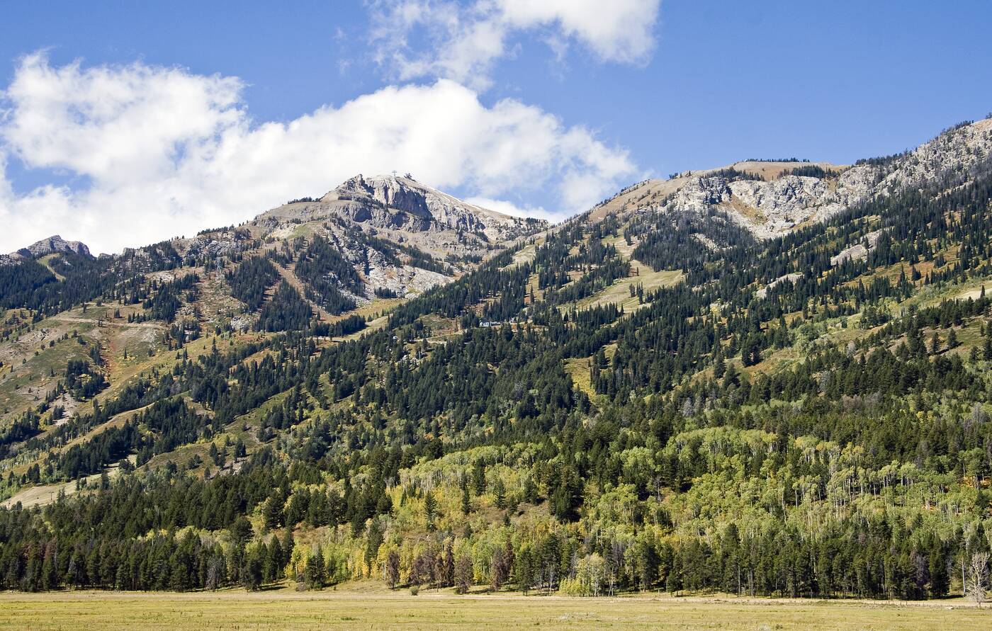 Jackson Hole