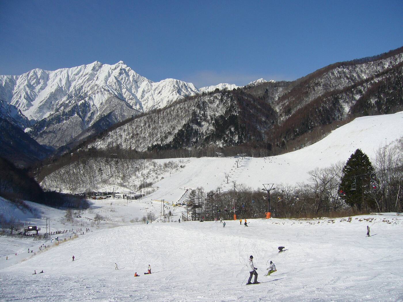 Kashimayari