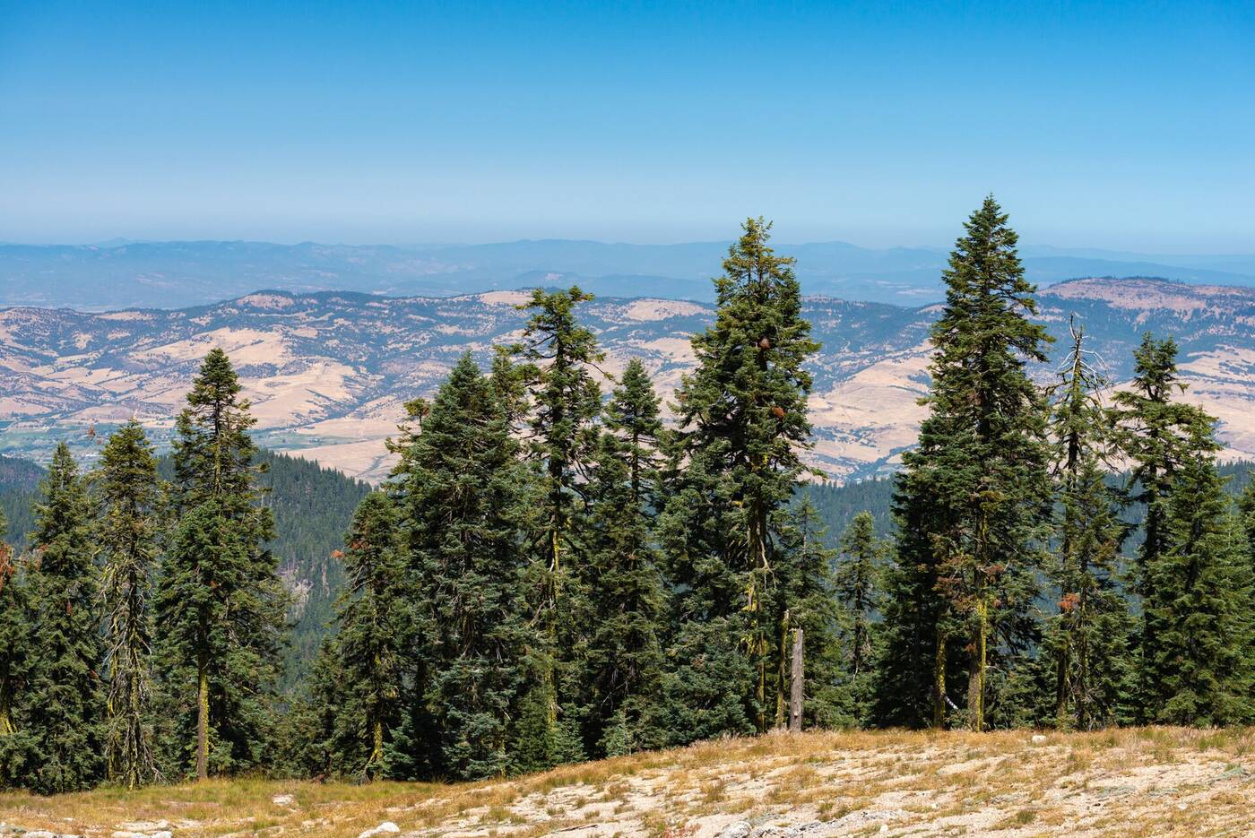 Mt. Ashland