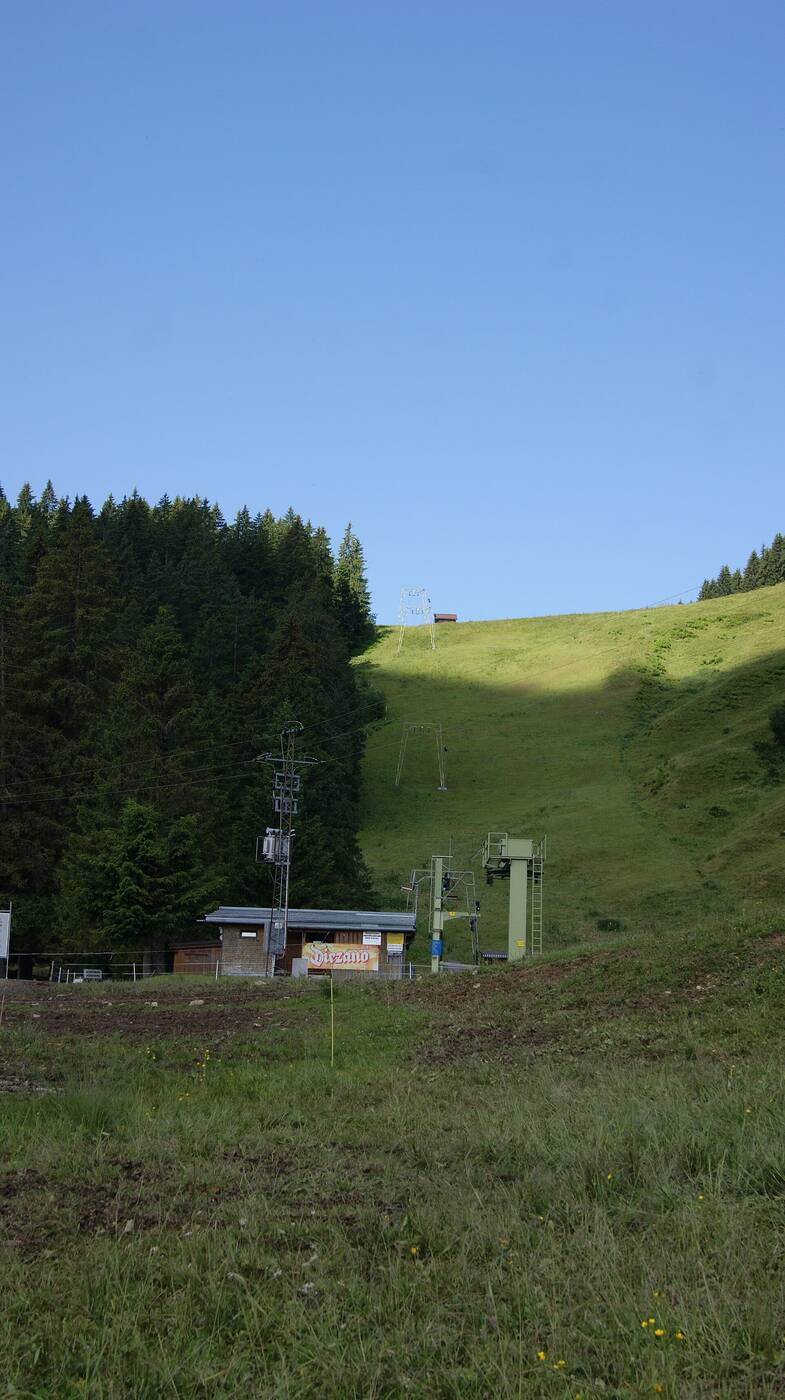 Schuttannen Hohenems