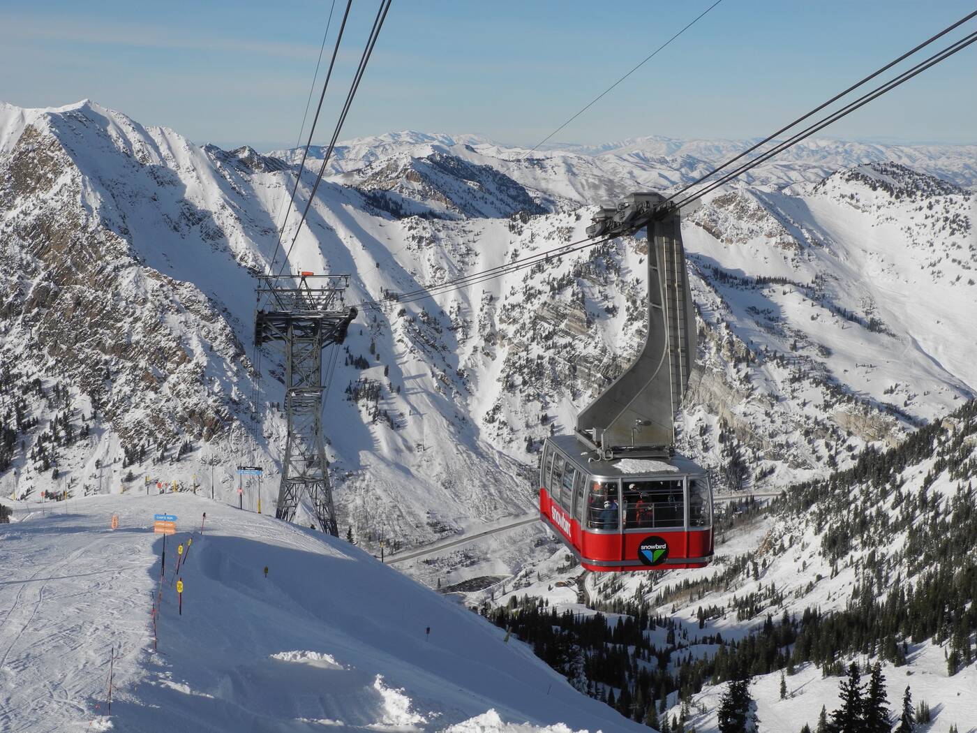 Snowbird