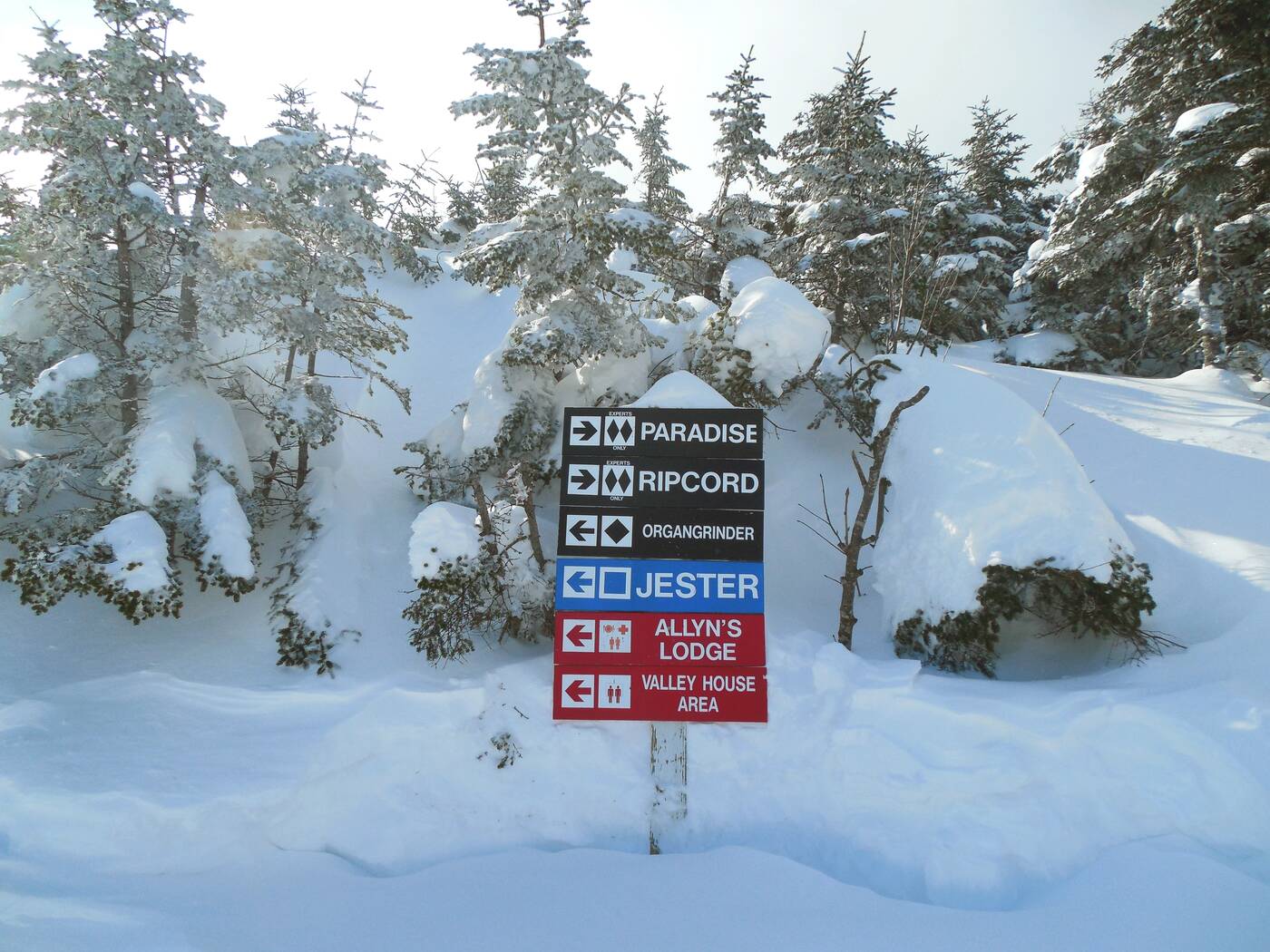 Sugarbush
