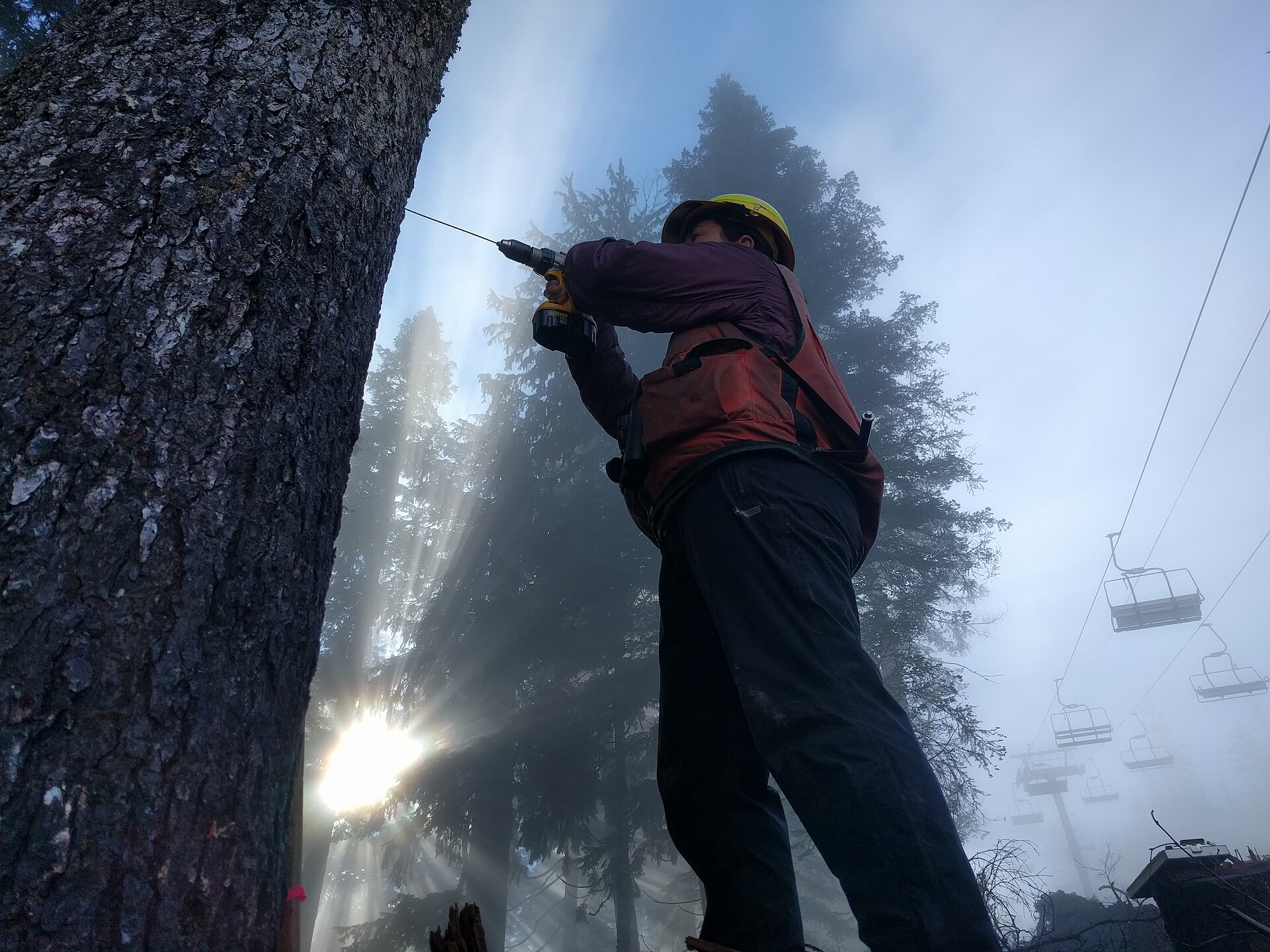 The Summit at Snoqualmie
