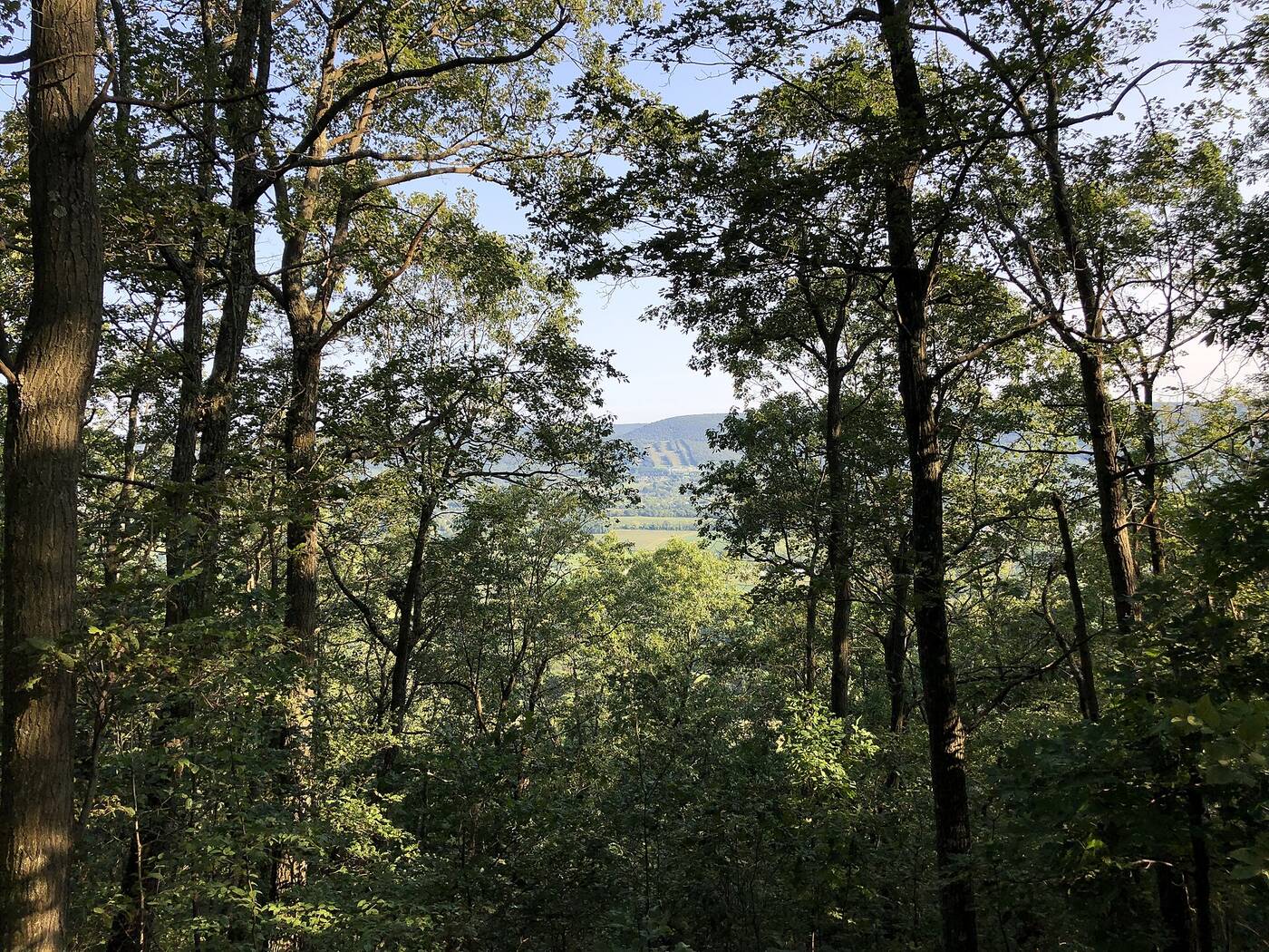 Tussey Mountain