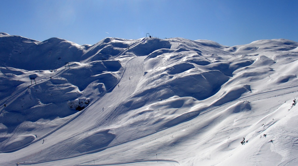 Vogel Bohinj