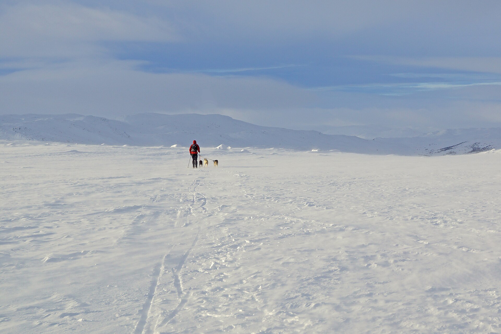 Dagalifjell