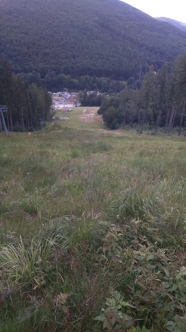 Kouty nad Desnou