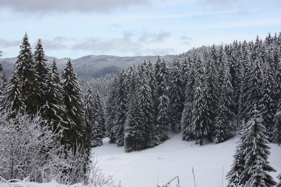 Pamporovo