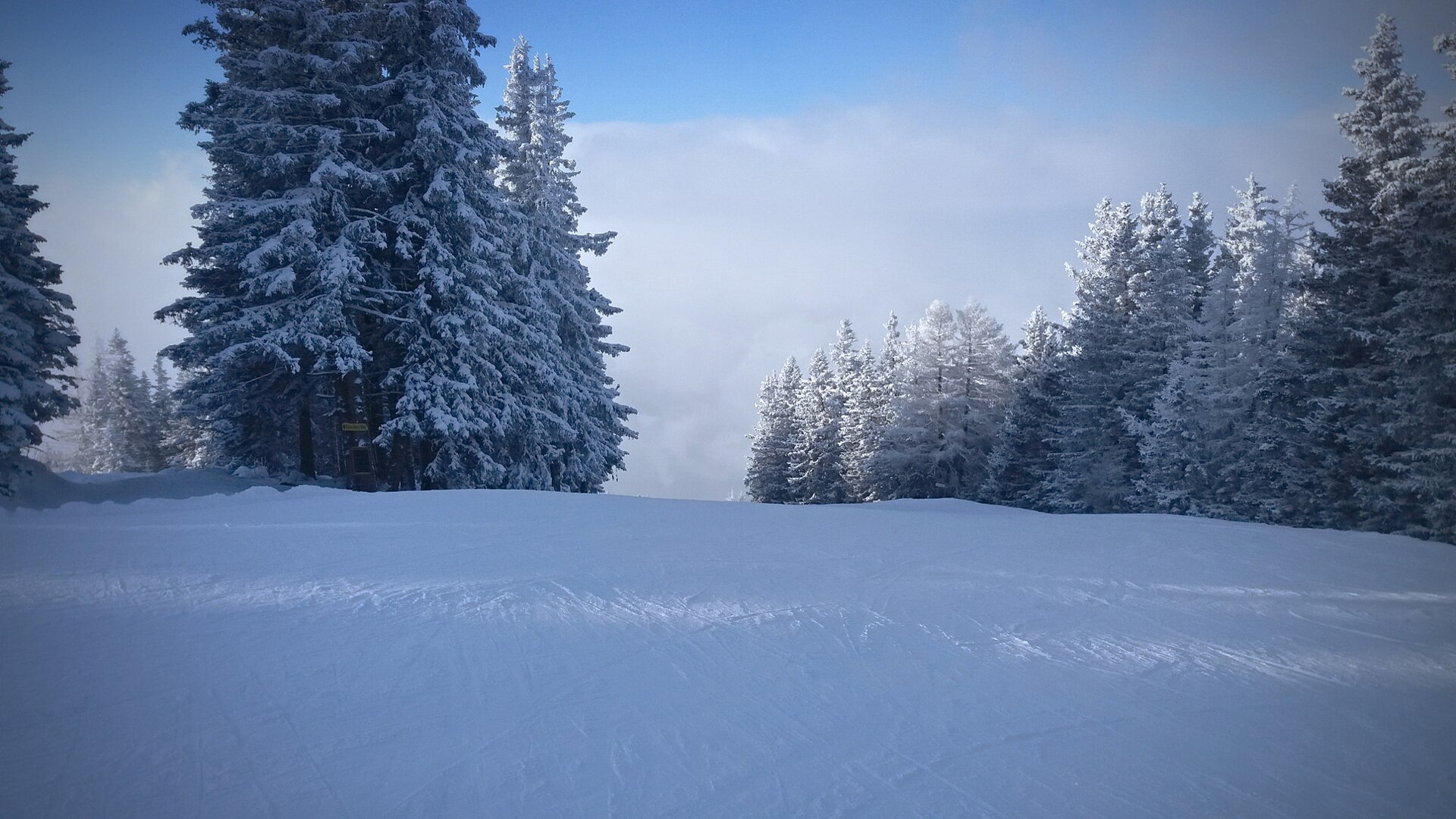 Patscherkofel Igls