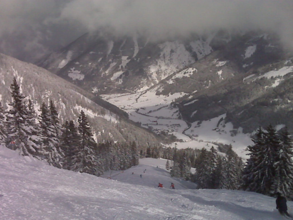 Riesneralm Donnersbachwald