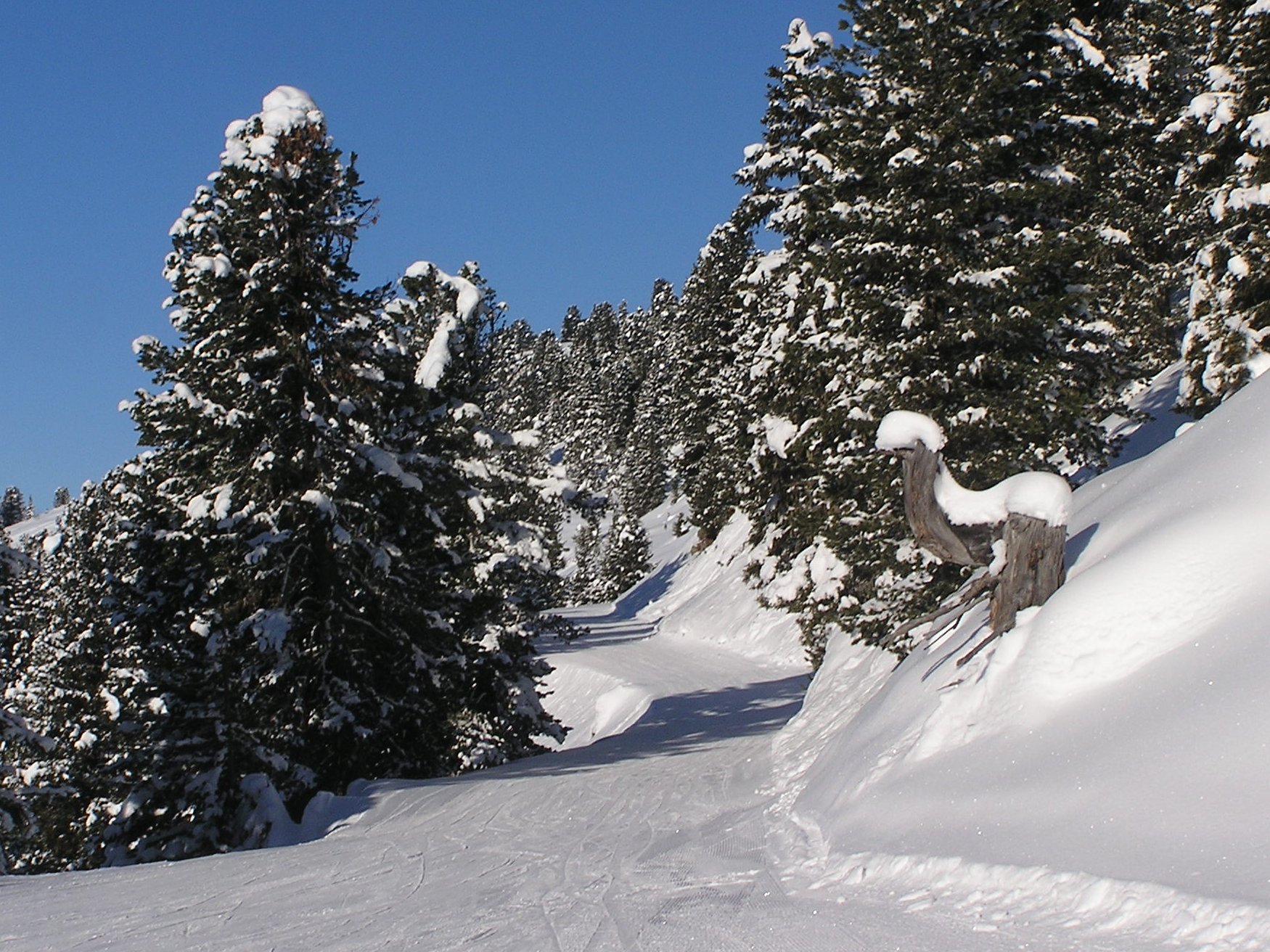 Zillertal Arena